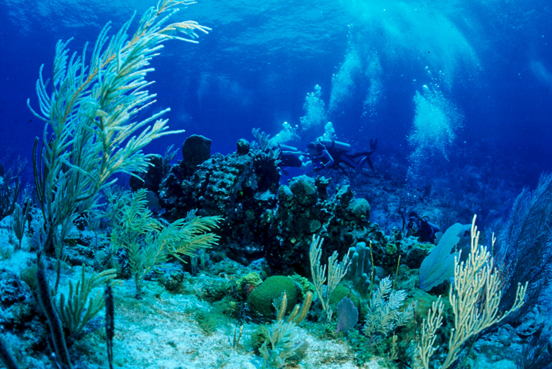 Endymion Wreck