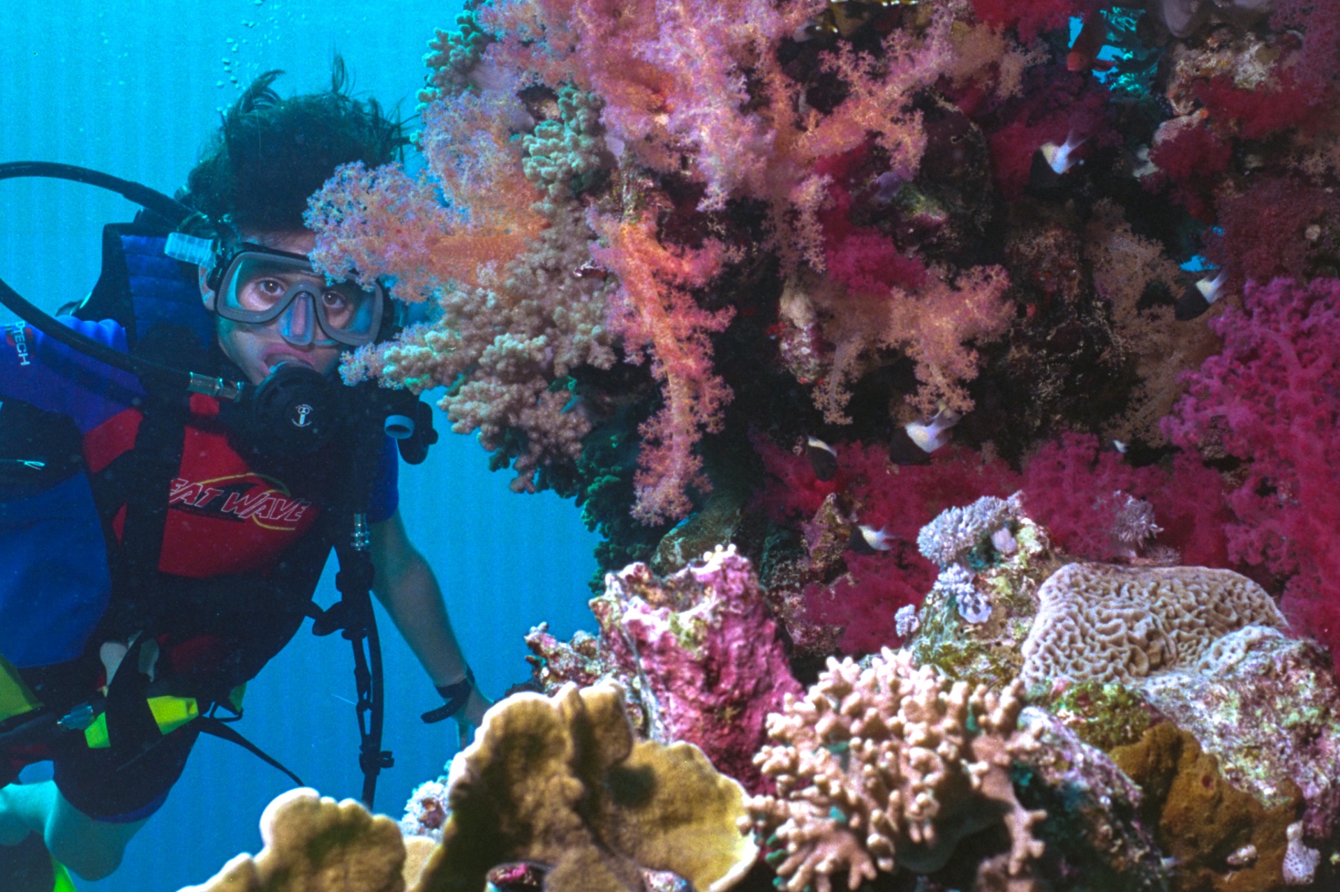 Facundo Red Sea